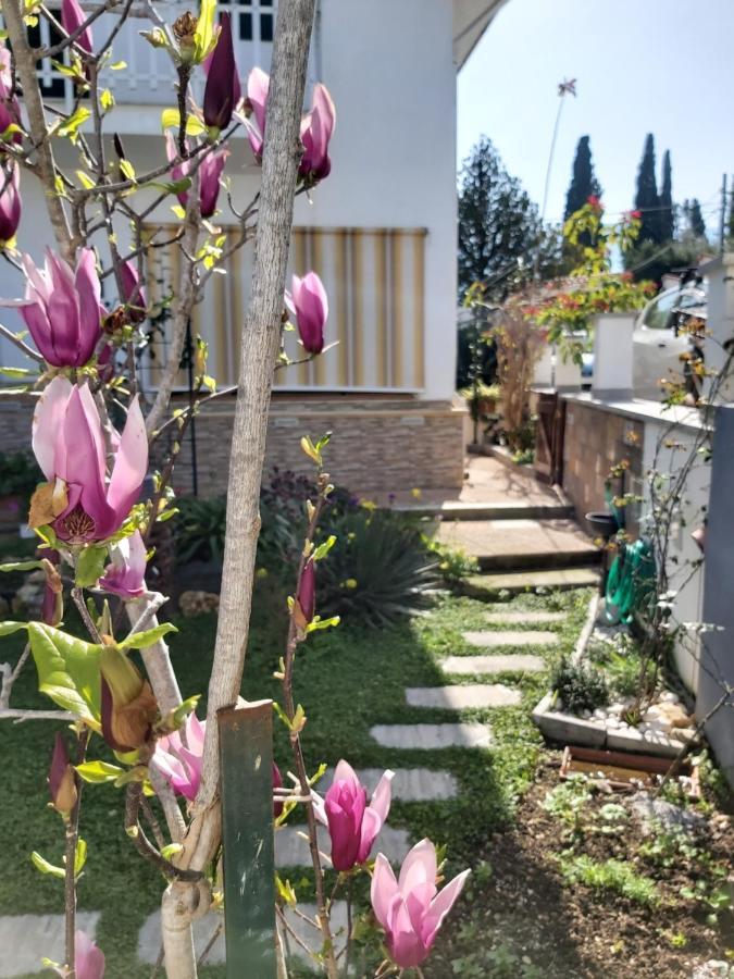 La Perla Della Conca D'Oro Villa Palermo Kültér fotó
